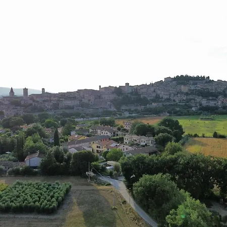 L'ulivo Incantato Spello