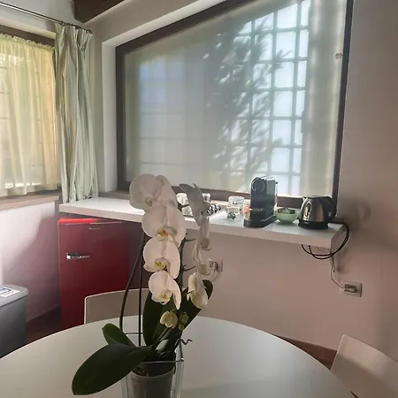 L'ulivo Incantato Spello