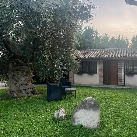 L'ulivo Incantato