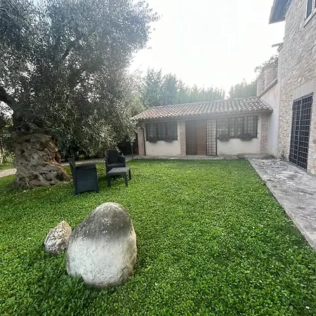 Nocleg ze śniadaniem L'ulivo Incantato Spello