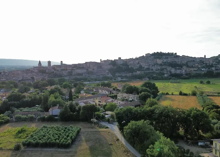 L'ulivo Incantato Spello