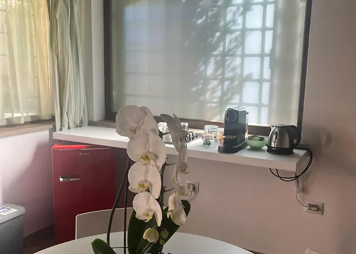 L'ulivo Incantato Spello